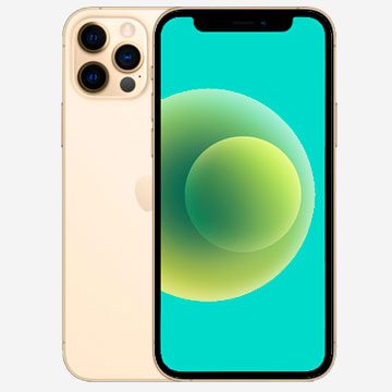 Ремонт iPhone 12 Pro Max